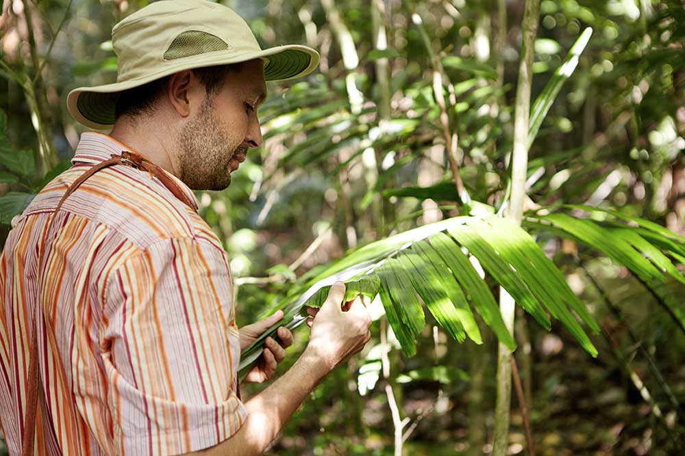 become an environmental scientist