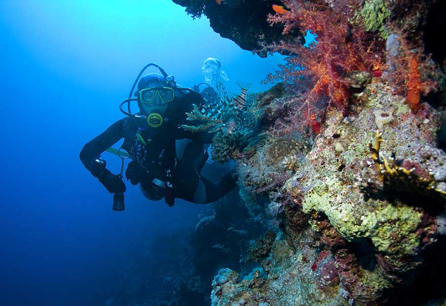 how much money does a marine biologist make a day