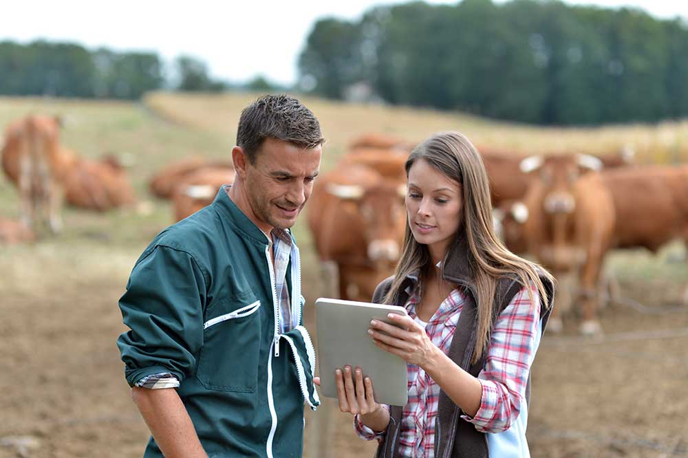 become a farmer or rancher