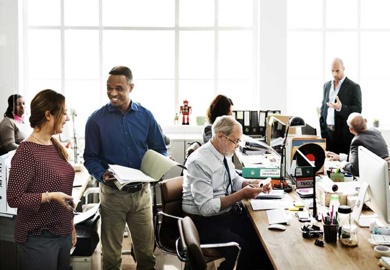 Business degree programs what can you do with a business degree
