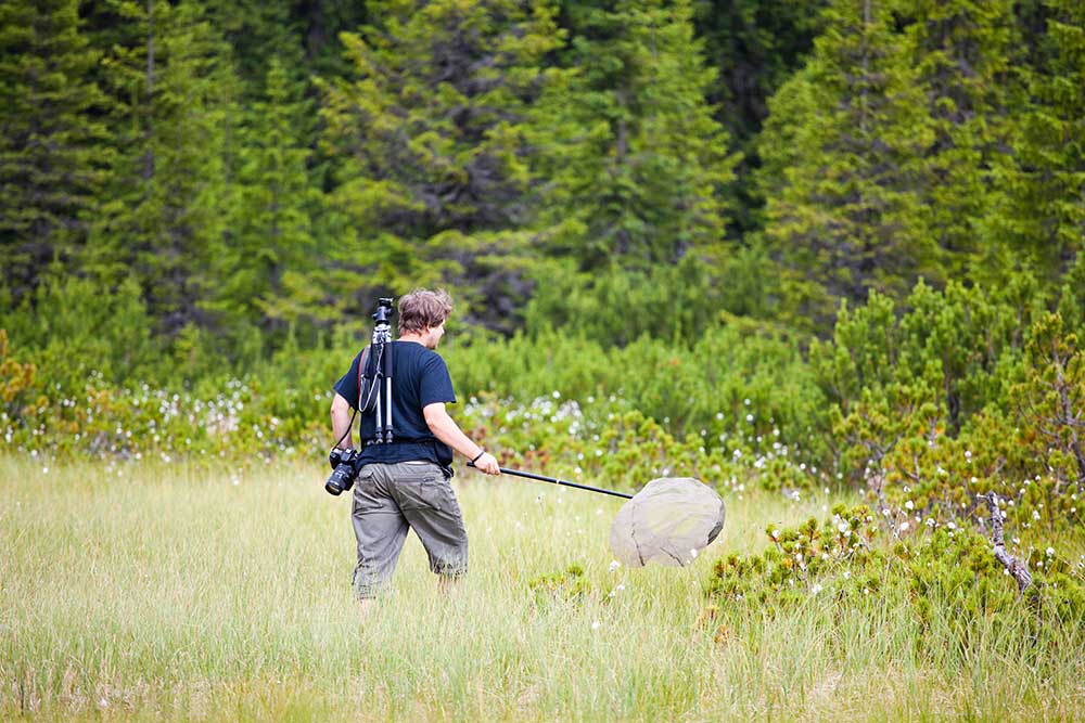 become a wildlife biologist