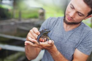herpetologist