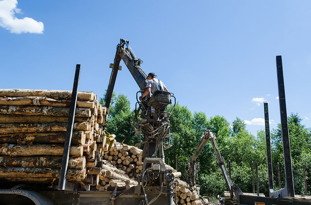 what does a logging worker do