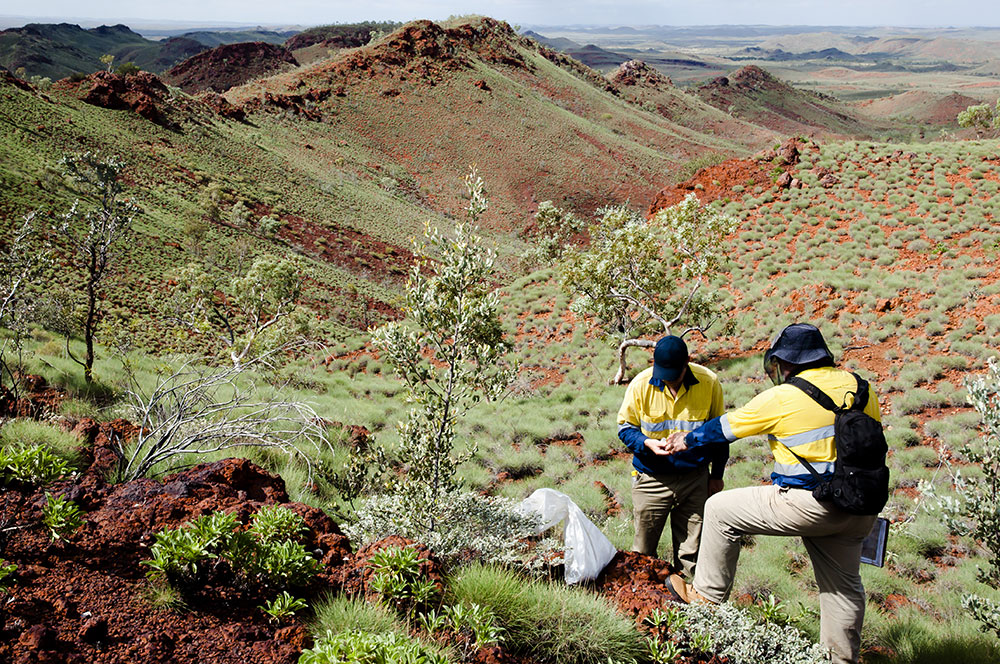 become a geologist