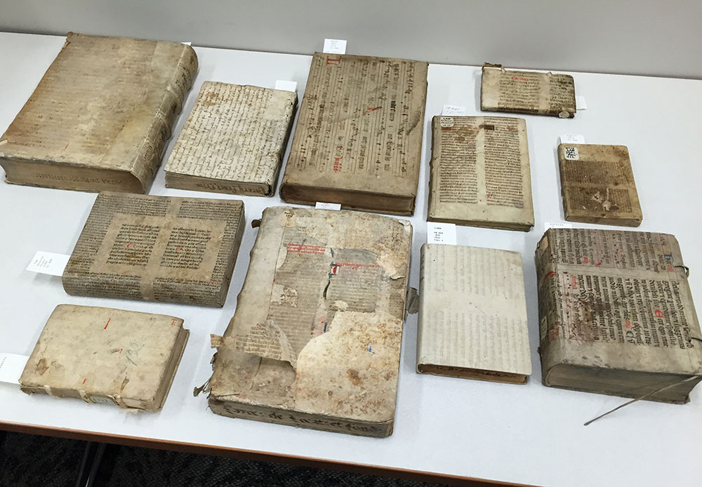 what does a rare book conservator do