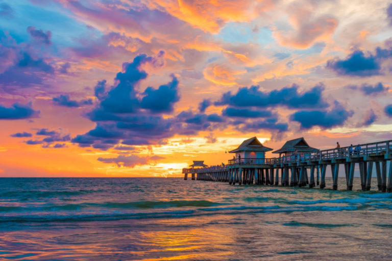 colleges in florida