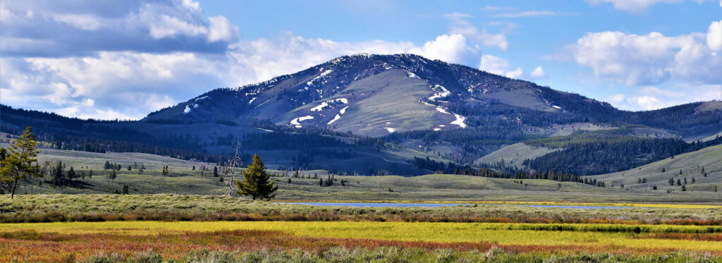 montana landscape with a mountain